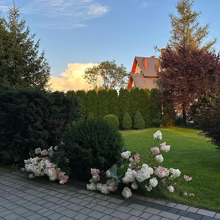 Czarna Jagoda Czarna Góra Extérieur photo