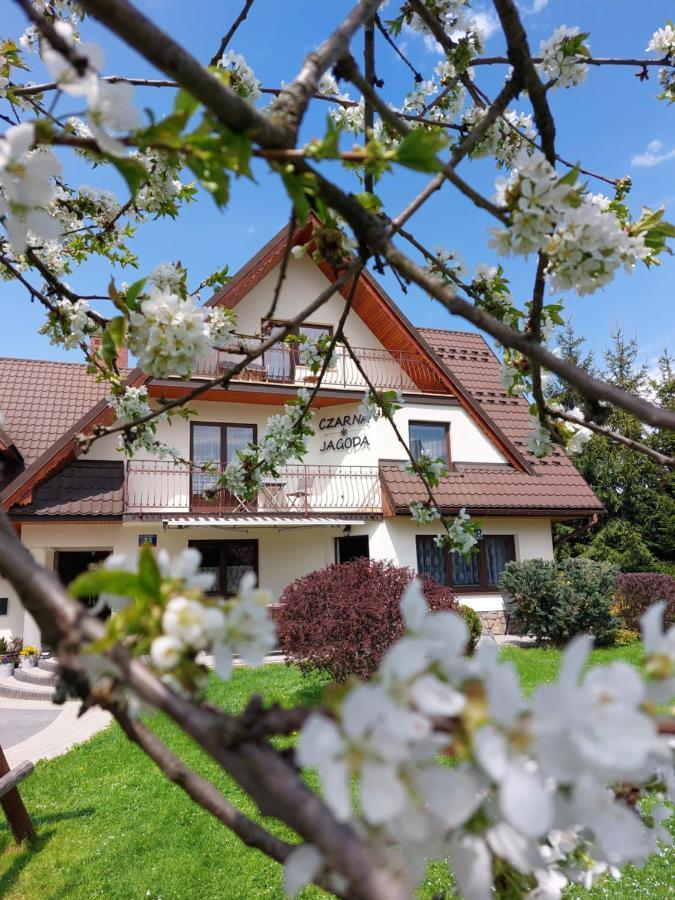 Czarna Jagoda Czarna Góra Extérieur photo