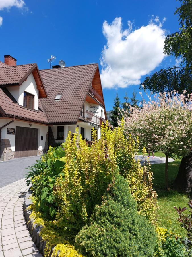 Czarna Jagoda Czarna Góra Extérieur photo