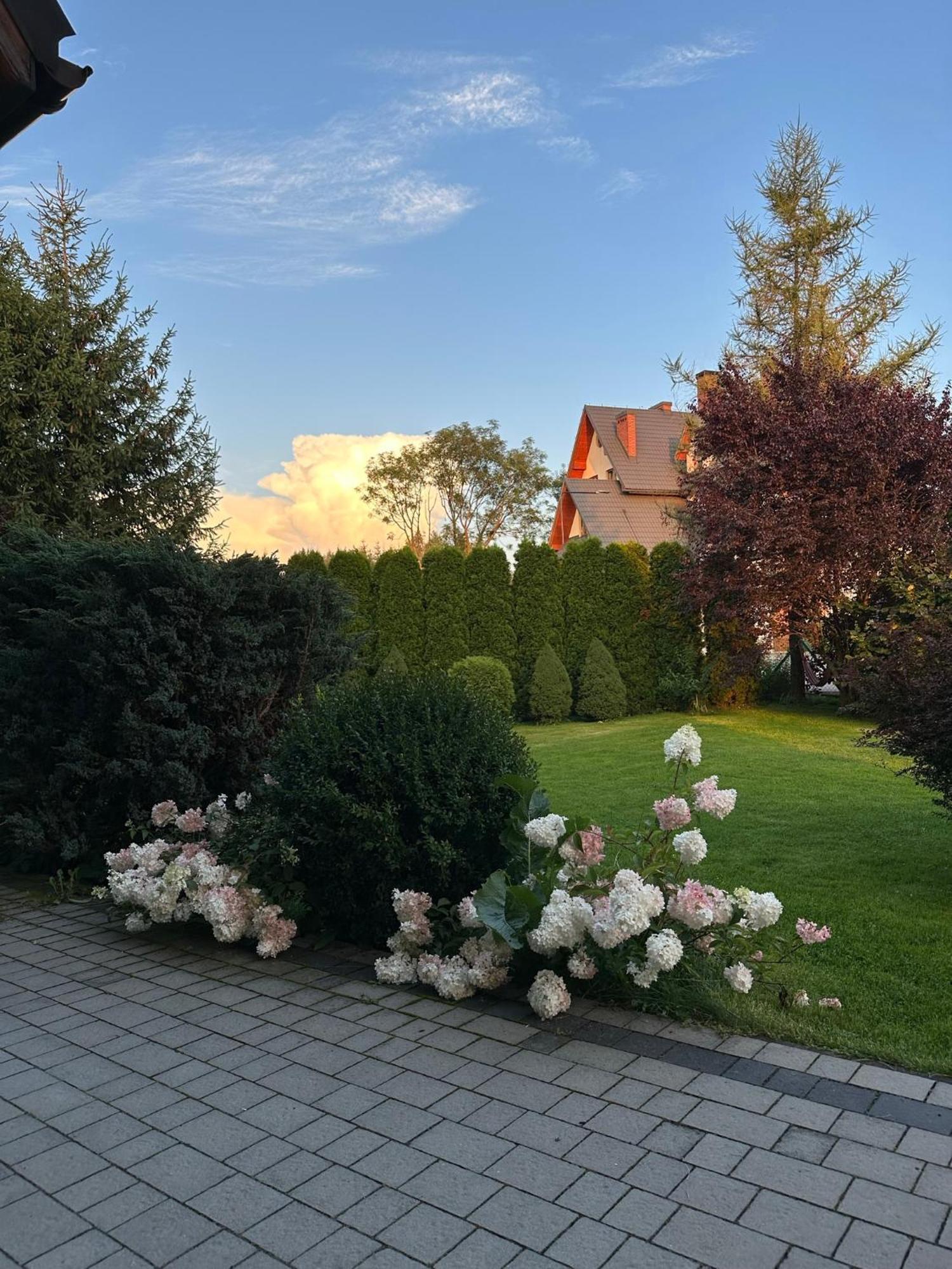 Czarna Jagoda Czarna Góra Extérieur photo