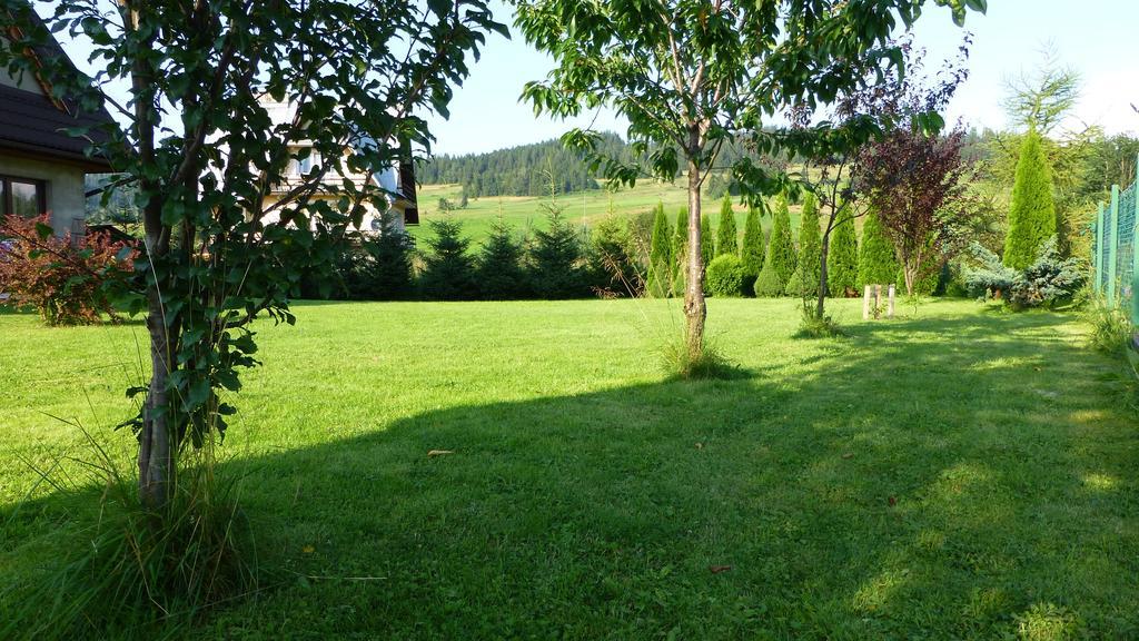 Czarna Jagoda Czarna Góra Extérieur photo